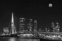Erasmus-Brücke in Rotterdam bei Nacht.