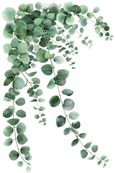 Cascade d'eucalyptus par Poster Art Shop