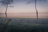 A foggy winter morning in January