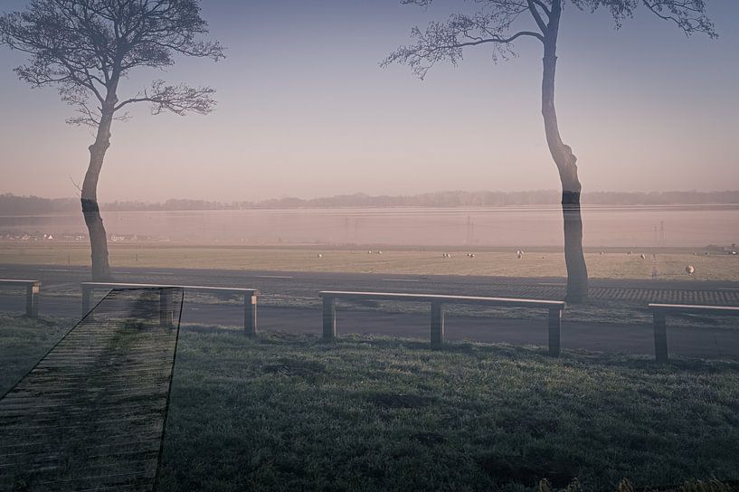 A foggy winter morning in January by Grietje van der Reijnst
