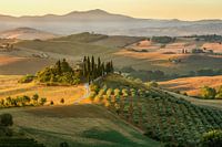 Tuscany countryside in Italy with beautiful country house / farmhouse