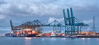 Besetzt Containerterminal Hafen von Antwerpen