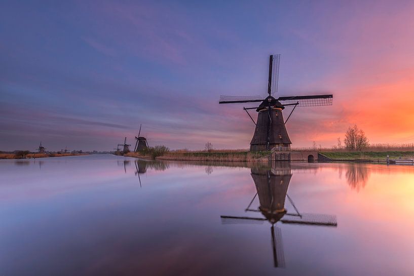 Morning glow.  by Jan Koppelaar Fotografie