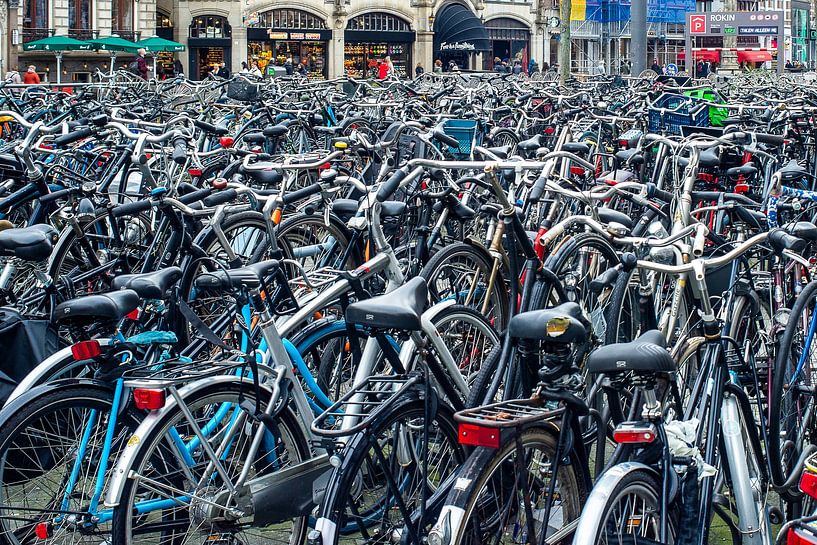 Fahrradchaos in den Niederlanden von Jack van der Starre