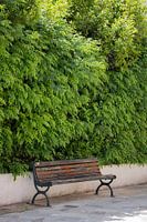 Bank gegen grünen Busch