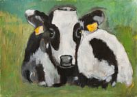 vache/veau couché dans l'herbe