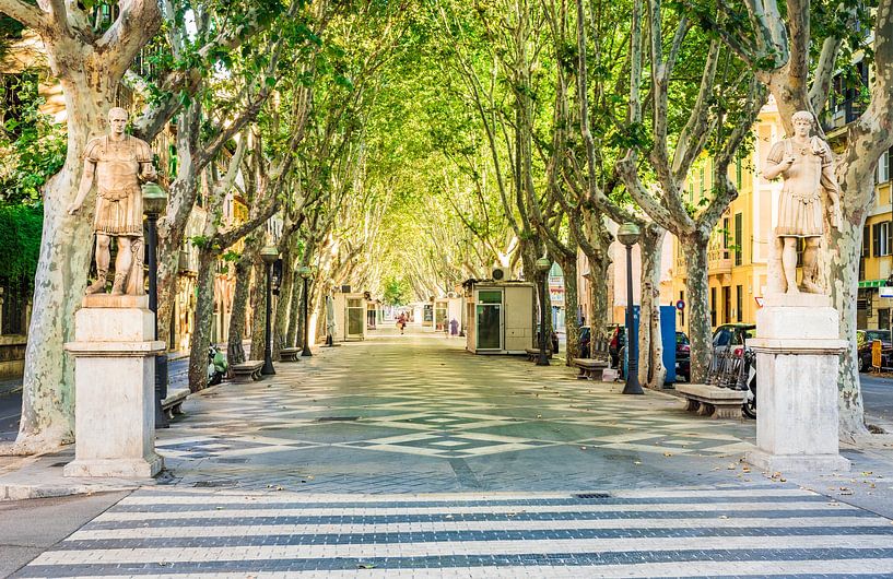 Idyllic view of La Rambla city avenue promenade in Palma by Alex Winter