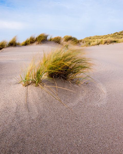 Maasvlakte 25 par Deshamer