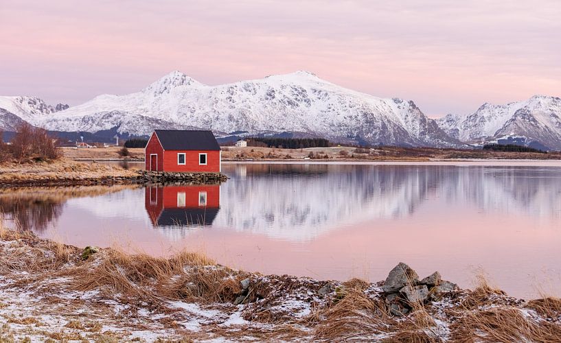 Lofoten, einsame Fischerhütte im Abendlicht 1/2 von Harald Marchhart