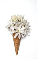 A white floral ice cream