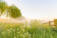 Lever de soleil matinal par une belle journée de printemps sur le Zwartendijk,