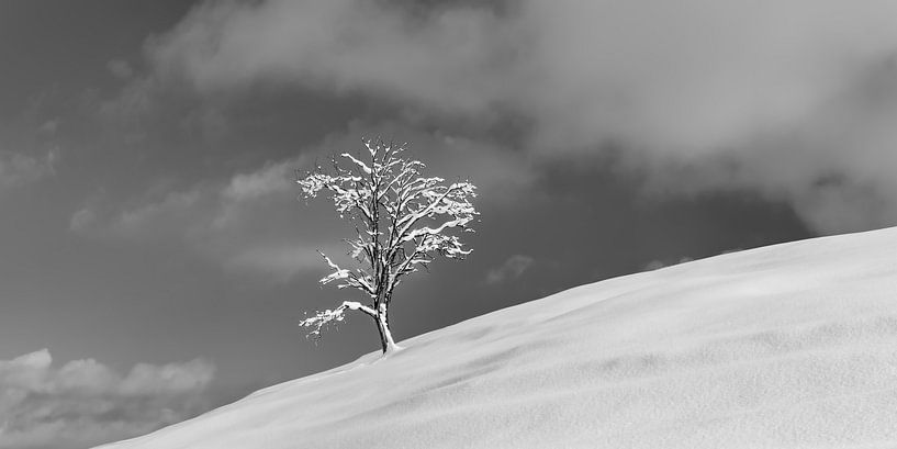 Naturlandschaft bei Füssen im Winter von Walter G. Allgöwer