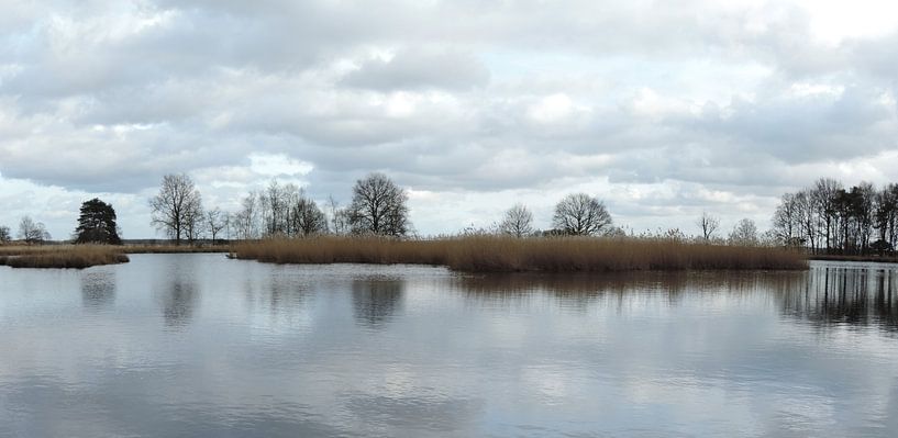 nuages réfléchissants par Wim vd Neut