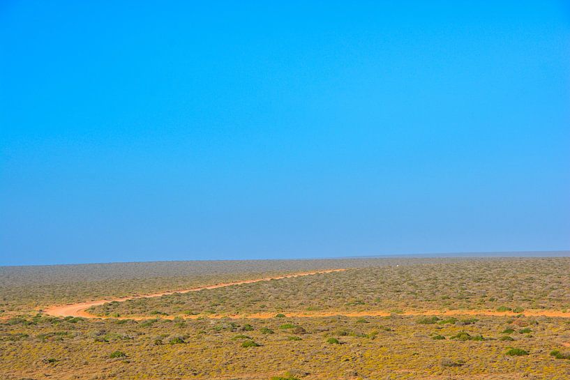 La nature sauvage par Sanne Lillian van Gastel