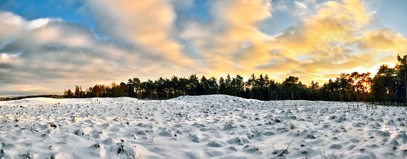 Wide White World par Cho Tang