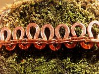 Mäandernde Erfahrung