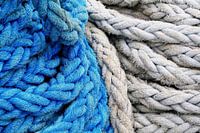 Bouquets bleus et blancs sur le ss Rotterdam