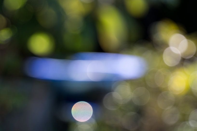 Blau zwischen Grün von Wim Stolwerk