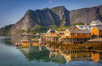 The yellow houses of Sakrisøy on the Lofoten