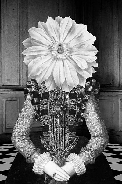 The Lady of Black Castle van Marja van den Hurk