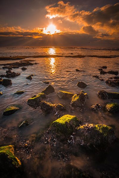 Pierres avec algues par peterheinspictures