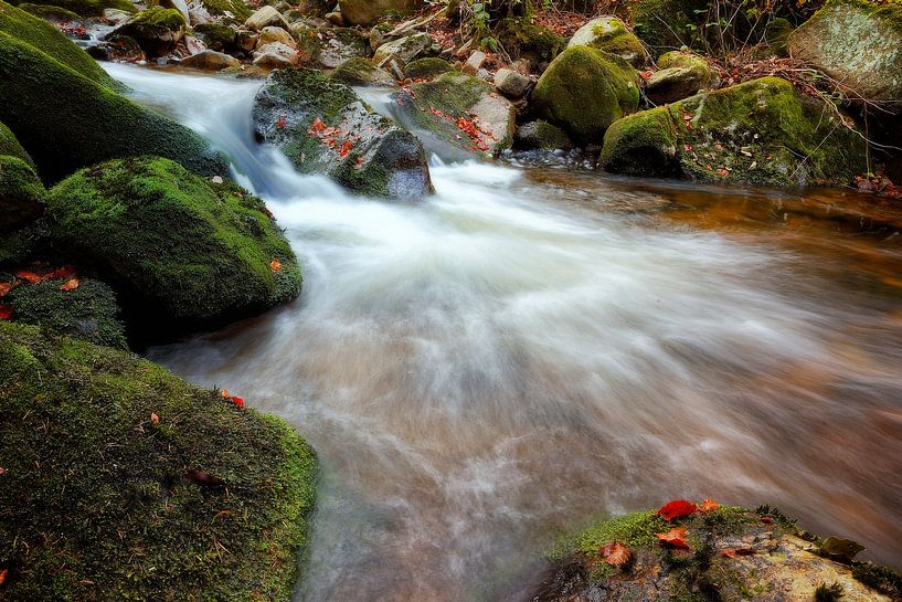 Unstoppable | Niet te stoppen par Dieter Ludorf