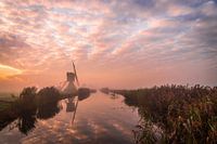 Orangefarbener Sonnenaufgang im Alblasserwaard