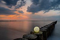 Shining moon at sunset