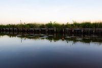 Banque avec reflets de fleurs d'eau