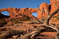 Arches National Park USA