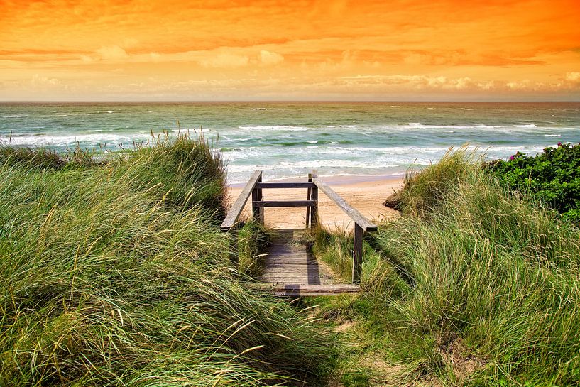 Küste von Bo Valentino