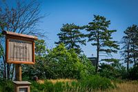 De Kutchen Haltestelle: Waar Natuur en Geschiedenis Samenkomen in het Nationaal Park Eifel.