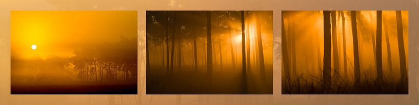 The dawn has gold in its mouth by Gerry van Roosmalen