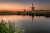 Berührt vom letzten Sonnenstrahl.