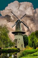 Mill, Schiedam, Pays-Bas