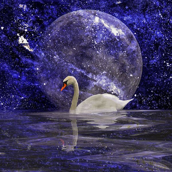 Swan Lake by Christine Nöhmeier