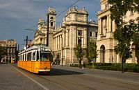 Straßenbahn in Budapest