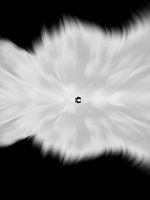 Der Mann ist sein Klavier