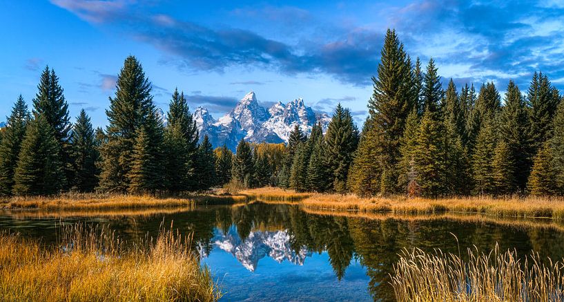 Grand Teton National Park by Photo Wall Decoration
