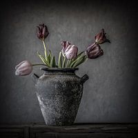 Tulips in Jug