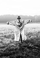 Portrait noir et blanc d'un épouvantail dans le brouillard sur un terrain