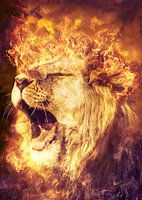 Brüllender männlicher Löwe