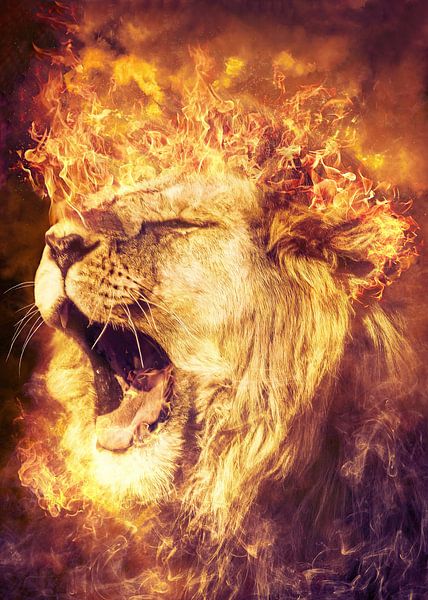 Lion mâle rugissant par Septif