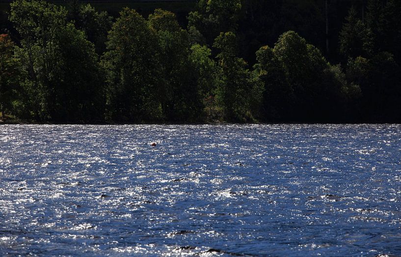 Titisee par Thomas Jäger