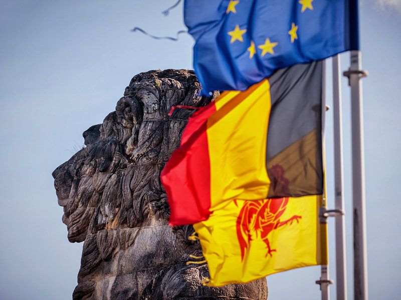 Lion of the Gileppe by Rob Boon