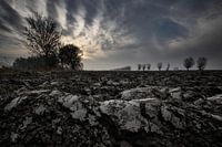 Argile de Zeeland-Flemish