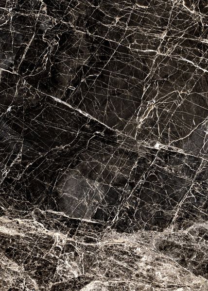 ABSTRACT BLACK &amp; WHITE v2 van Pia Schneider