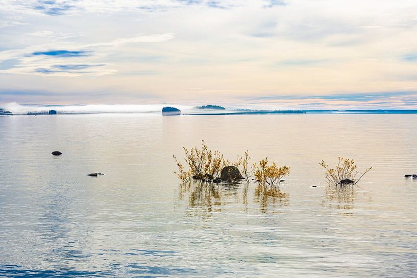 Silence d'automne par Torfinn Johannessen