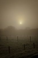 Mist over de weilanden