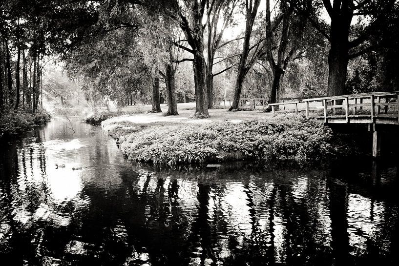 Black and white Park by Robert Kersbergen